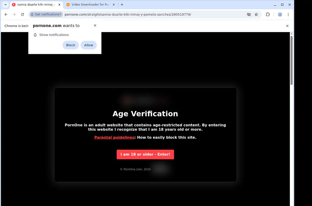 PornOne Video Downloader browser extension screenshot 2
