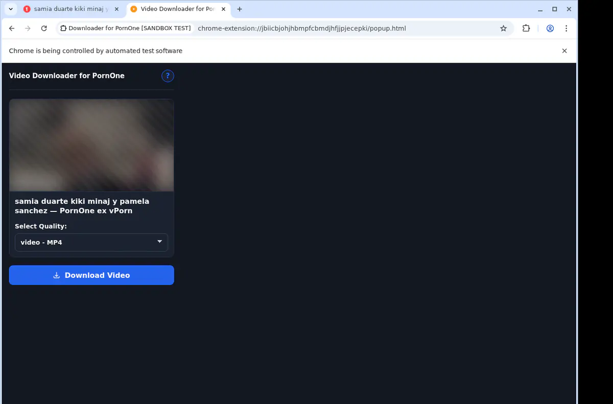 PornOne Video Downloader browser extension screenshot 4